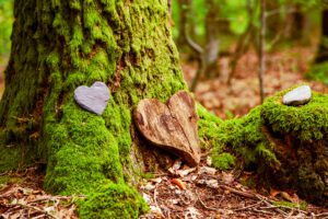 keepsakes on a tree burial
